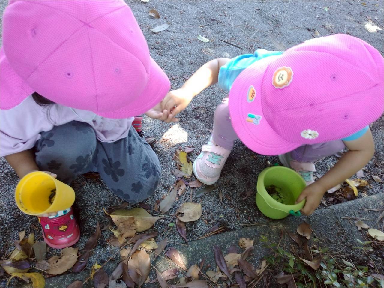 近くの公園で探索活動